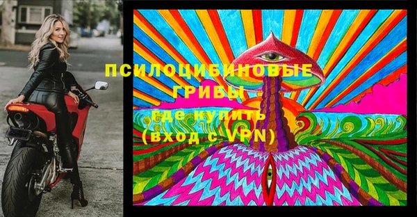 apvp Няндома