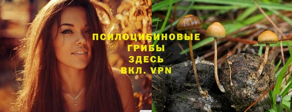 бошки Ачинск