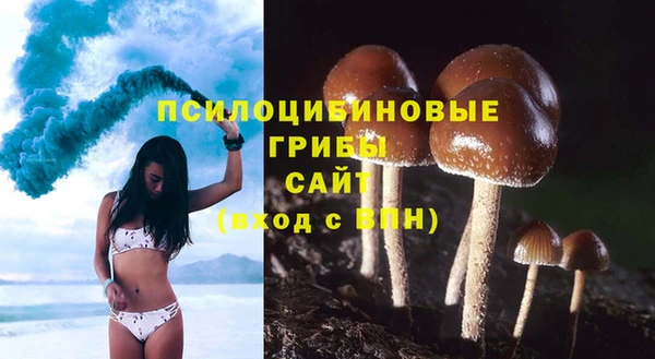 соль ск Снежинск