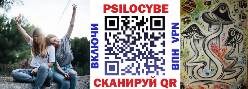 Галлюциногенные грибы Cubensis купить наркотик Унеча