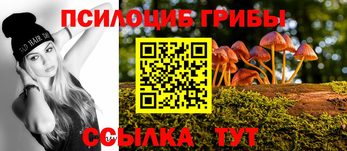 Унеча  Псилоцибиновые грибы прущие грибы  Псилоцибиновые грибы GOLDEN TEACHER  Вход с VPN 