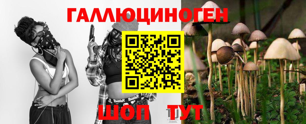 Галлюциногенные грибы GOLDEN TEACHER Унеча