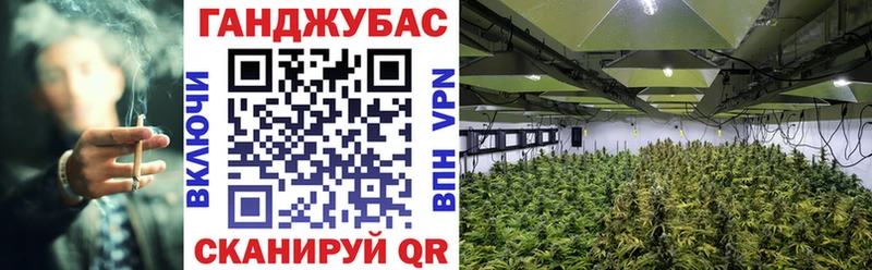 хочу   Унеча  МАРИХУАНА семена 